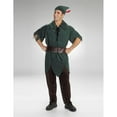 thumbnail image 1 of Costumes For All Occasions DG5964 Peter Pan, 1 of 2
