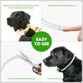thumbnail image 3 of LED Dog Collar USB Rechargeable Glowing, Pet Collars Lighted Up Safety Necklace Glow in the Dark for You & Your Dogs (Green), 3 of 7