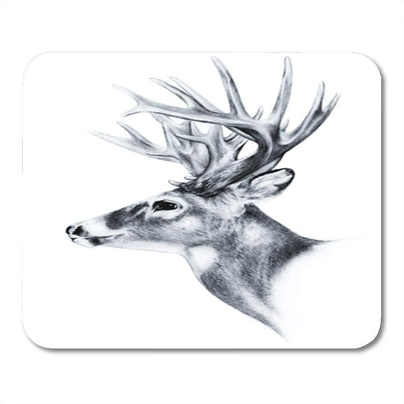 POGLIP Big White Tail Buck Head Large Antlers Deer Mousepad Mouse Pad Mouse Mat 9x10 inch