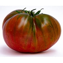 Black Crimson Tomato Premium Seeds for Planting