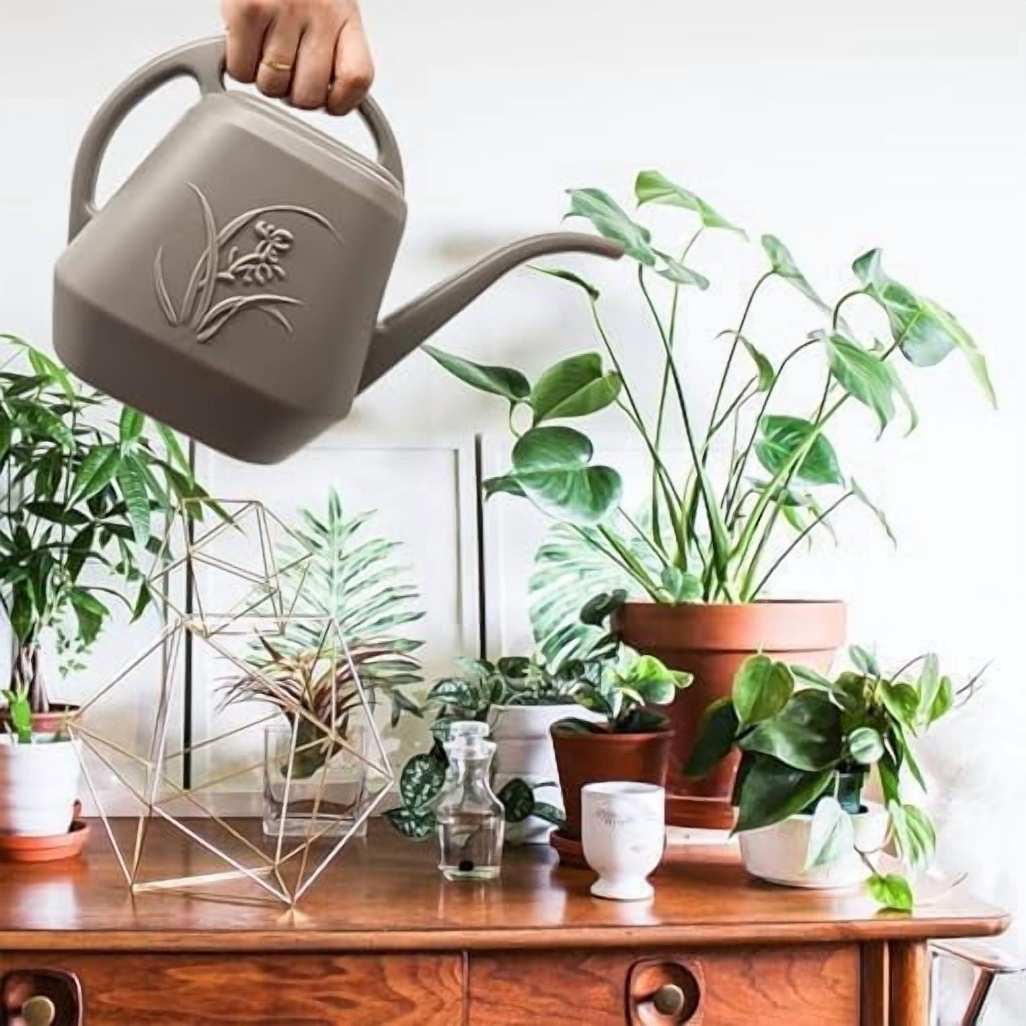 Plant Watering Can - 1 Gallon - Coffee Color