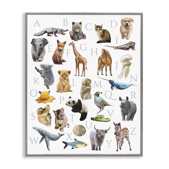 Stupell Industries Cottage Traditional ABC Alphabet Animals of the World Gray Framed Giclee Art, 16 x 20, by Ziwei Li