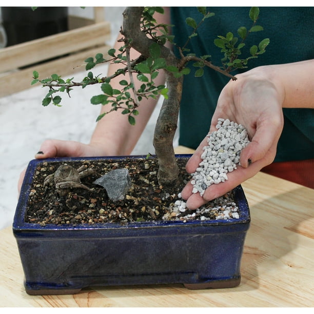 bambus viking Viking Bambus Zweiteiler-Pyjama-Set  Zumbamboo