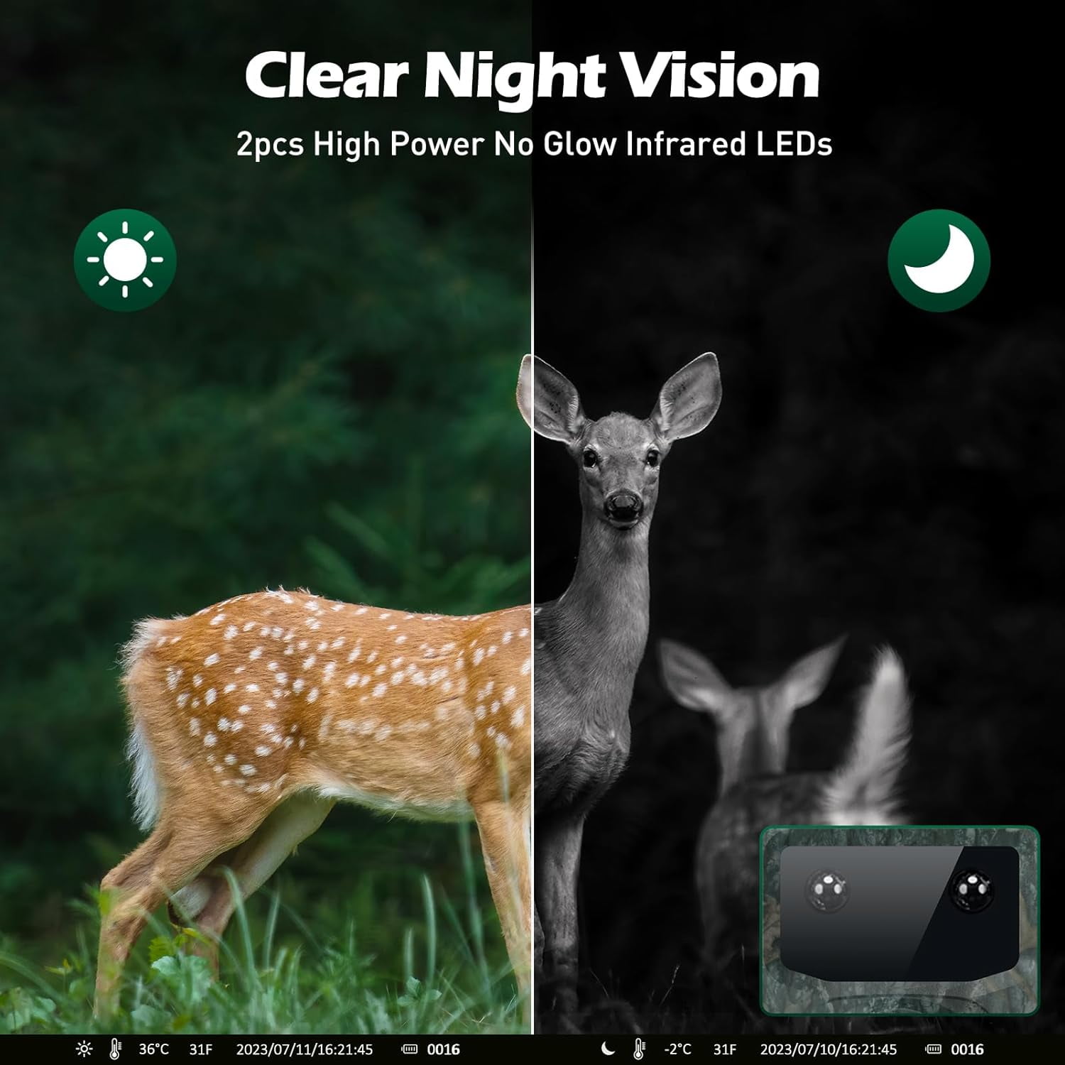 CAMPARK Trail Camera with 2500mAh Solar Panel