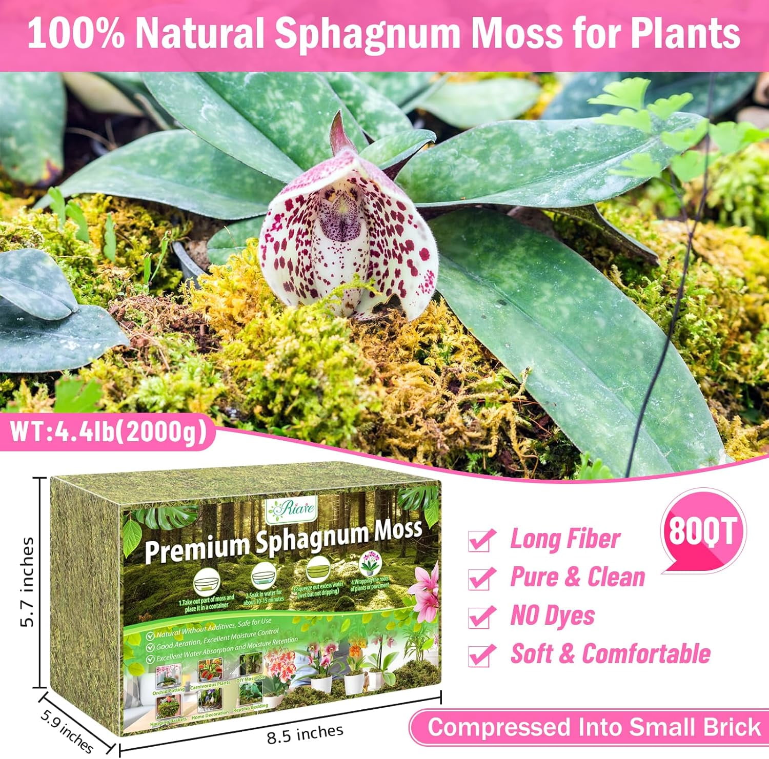 4.4LBS Premium Sphagnum Moss for Plants- 80QT Natural Dried Plant Moss for Potted Plants, Orchid Moss for Repotting, Soft Green Decorative Moss for Succulents, Reptiles & DIY Crafts
