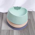 thumbnail image 3 of YOITEA Pet Food Bowl Non-Slip Nonstick Plastic Elevated Cute Reusable Strawberry Kitten Feeding Dish Washable Nonstick, 3 of 4