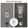 thumbnail image 3 of Salouo Colorful Seashells for Night Lights Plug into Wall 1 Pack, 0.5W Plug in Night Light with Dusk-to-Dawn Light Sensor LED Nightlight for Bathroom, Adult, Hallway-US, 3 of 7