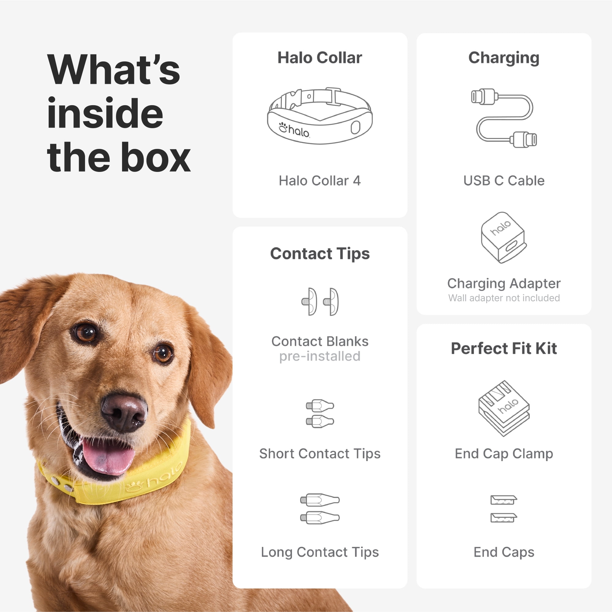 Halo Collar 4 Wireless Dog Fence System & GPS Dog Collar, One Size, Blaze