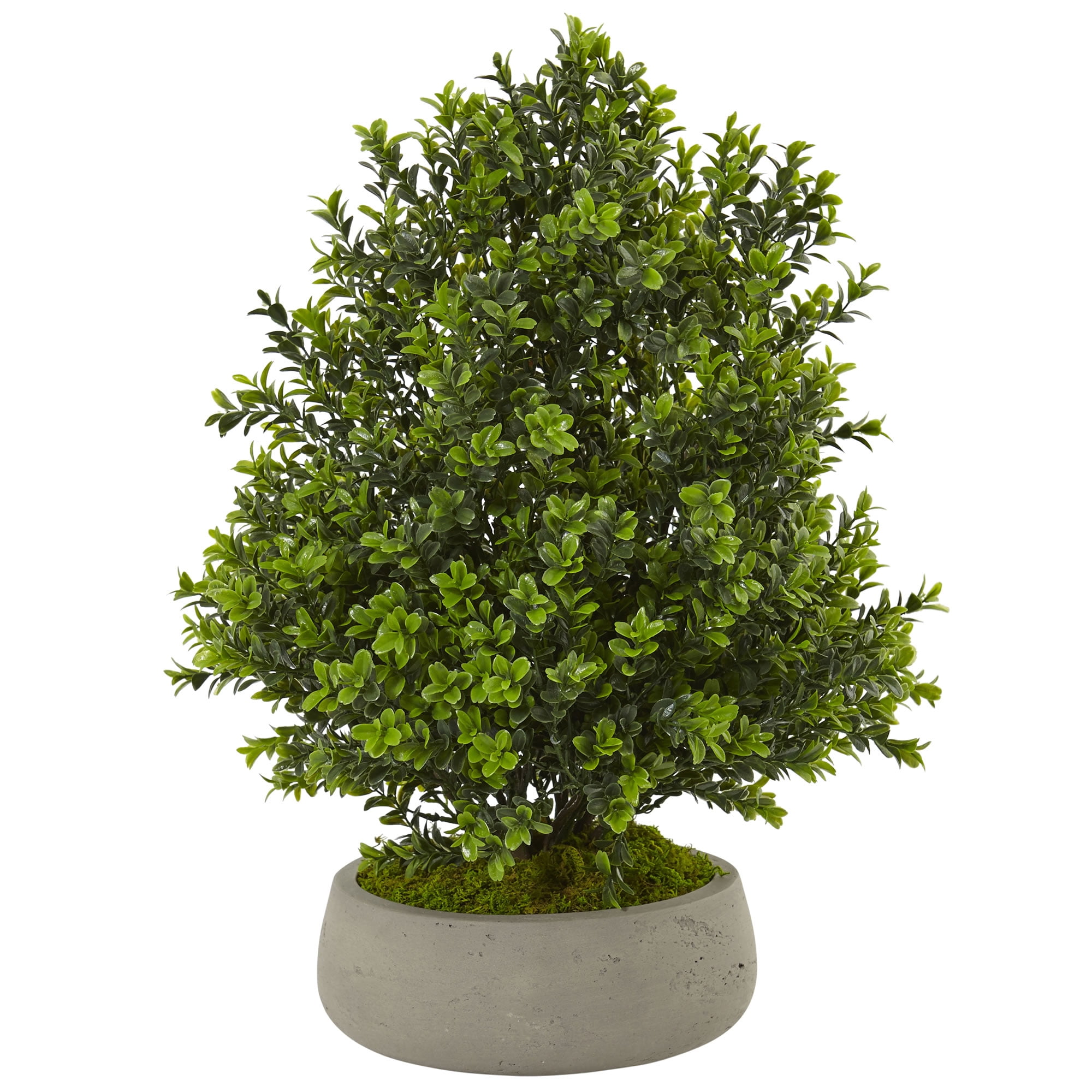 Boxwood Artificial Plant in Stone Planter (Indoor Outdoor) by Nearly Natural