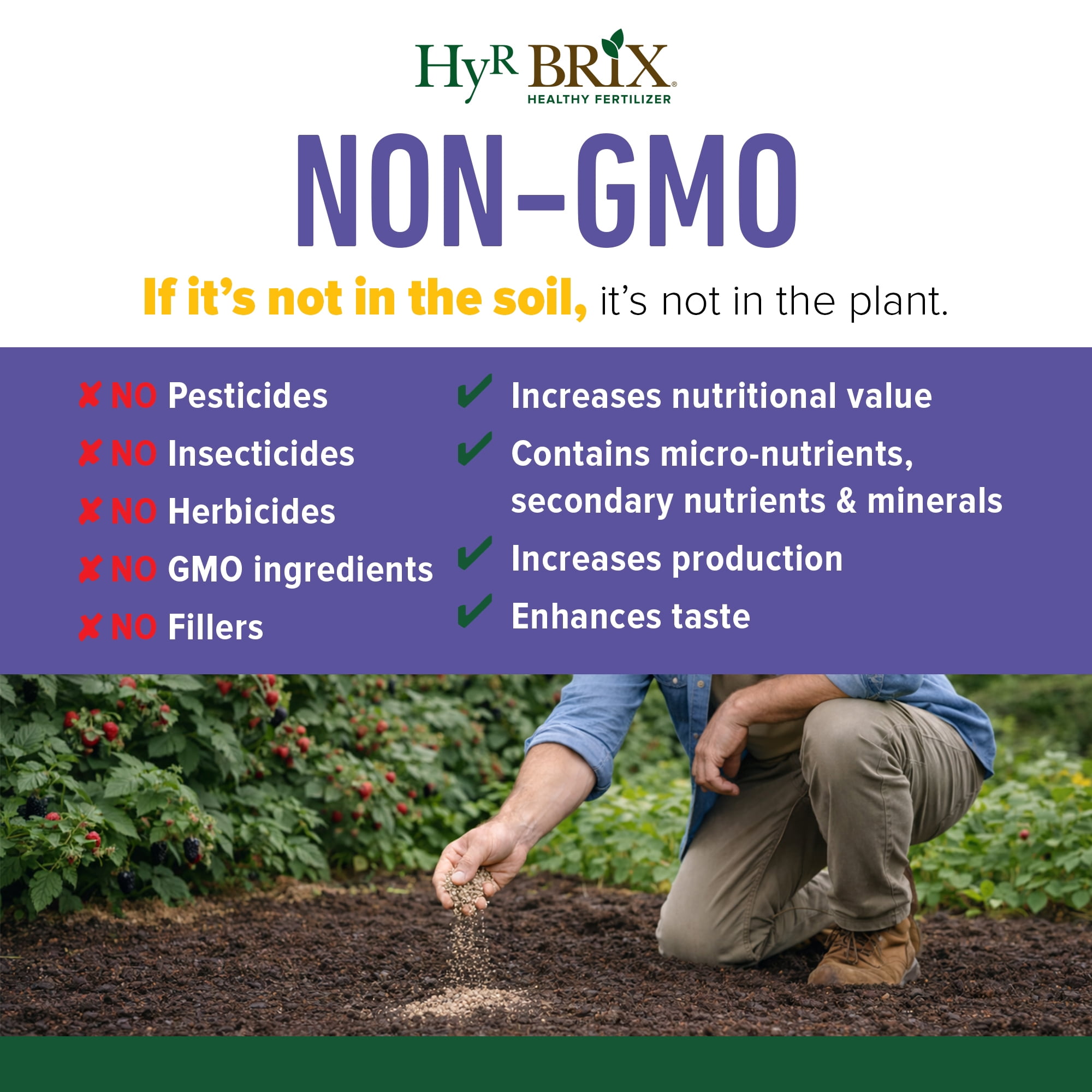 Hyr Brix Fruit & Berry Fertilizer