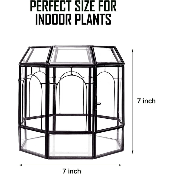 Large Glass Terrarium Handmade, Centerpiece Display Box Gift Planter Containers Indoor Terrariums House for Succulent Cacti Air Plants Miniature Fairy Garden