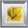 thumbnail image 1 of Trademark Fine Art "Inside a Beautiful Tulip" Canvas Art by Kurt Shaffer, White Matte, Silver Frame, 1 of 1