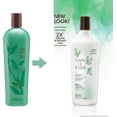 thumbnail image 2 of Bain de Terre GREEN MEADOW BALANCE SHAMPOO 400ML, 2 of 8