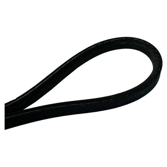 Continental 15301 V-belt