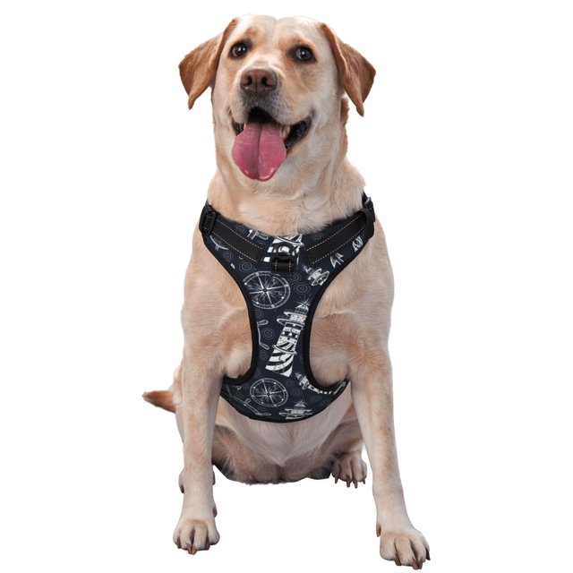 Fotbe Anchor and Lighthouse Arnés para Perro con Estampado –Chaleco Ajustable Acolchado con Asa de Control para Perros Grandes-X-Large