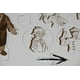 thumbnail image 3 of Juego de mesa Megacorping Uncomfortable Guest Color Sepia, 3 of 4