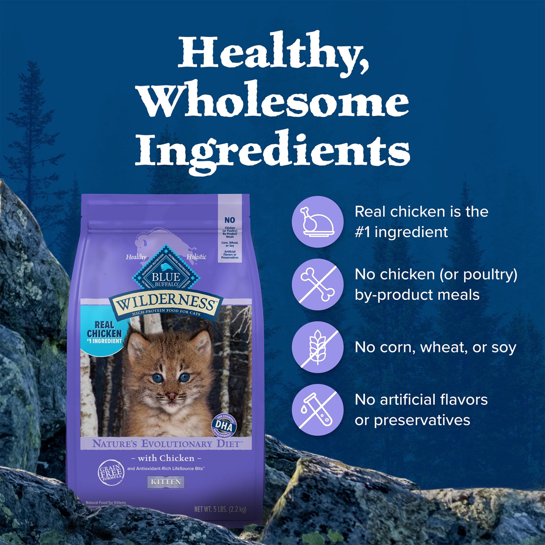 Blue Buffalo Wilderness Natural Kitten Dry Cat Food, High-Protein, Chicken, 5-lb. Bag