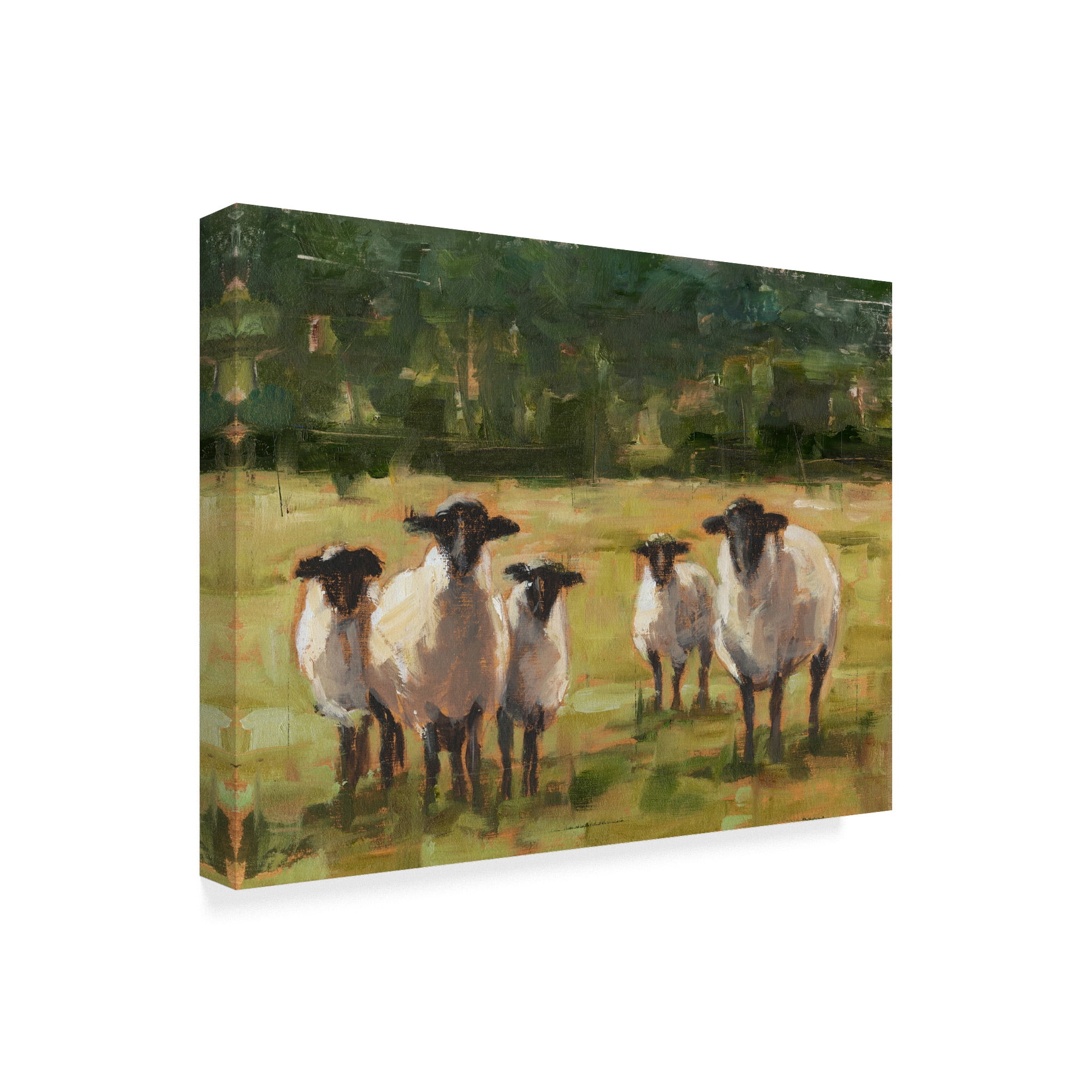 Trademark Fine Art 'Sheep Family I' Canvas Art by Ethan Harper