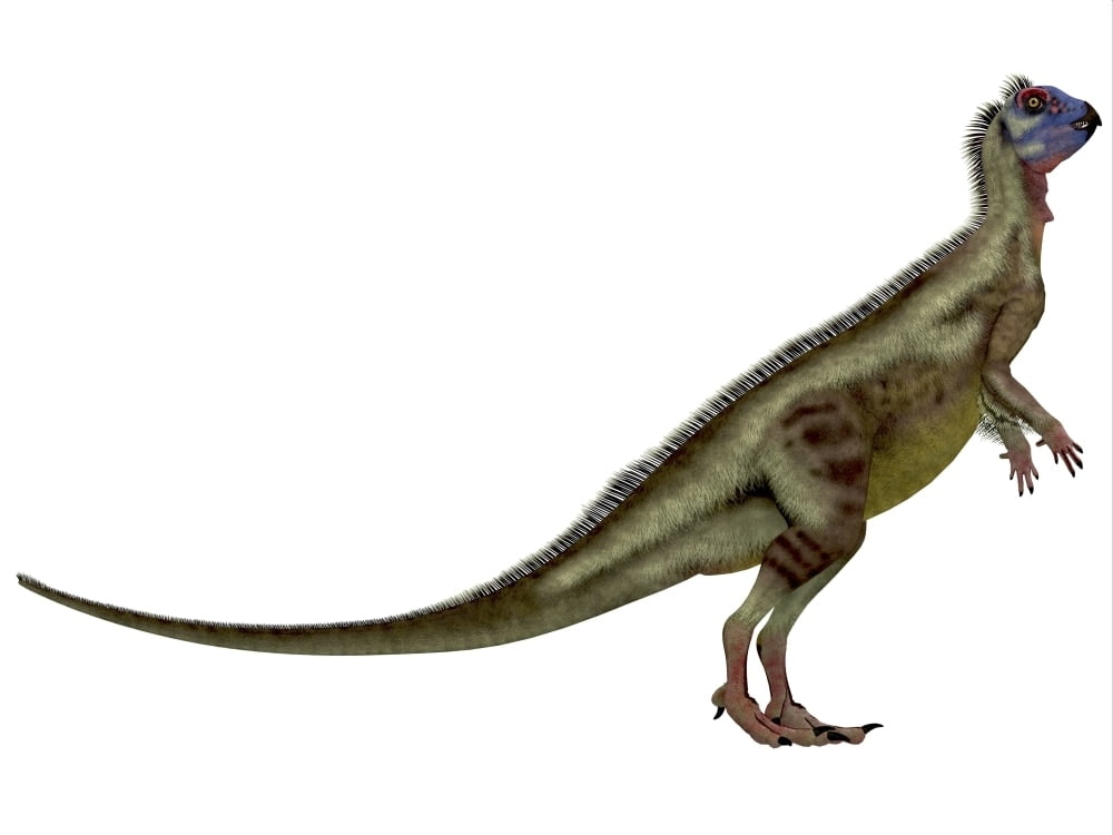Hypsilophodon is an omnivorous dinosaur that lived during the Cretaceous period of England