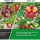 thumbnail image 3 of 6 paquetes de soportes para fresas, soporte portátil para fresas con 4 patas resistentes, juegos de soporte ajustables, 3 of 5