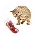 thumbnail image 5 of JUNWELL Christmas Dog Stocking Toys  9PCS  Dog Toy Set with Squeaky Toys(Green), 5 of 5