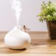 thumbnail image 5 of Humidificador Cebolla 300 Ml Con Escritorio Niebla Fresca Nocturna para Casa, 5 of 9