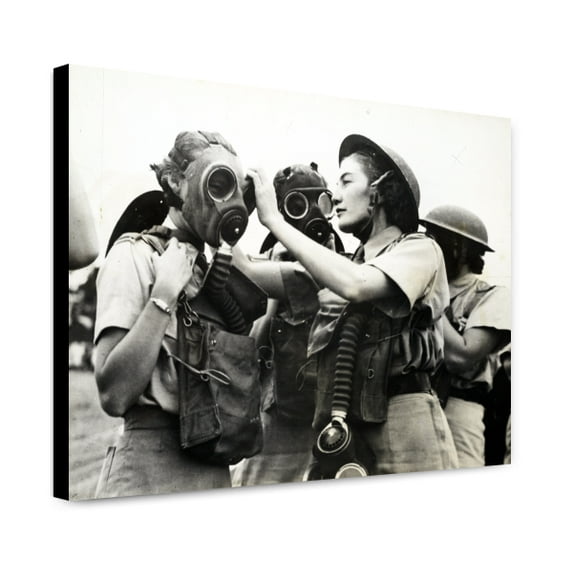 Canvas Print: South African Women's Services On Duty In The Middle East: A South