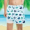thumbnail image 2 of KKBOTIVE Swim Trunks Beach Shorts for Boys Casual Dinosaur Print Short Pants Kids Stretch Summer Wear ( Sky Blue Size: 14-16 Years ), 2 of 4