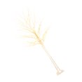 thumbnail image 3 of LED Birch Tree Light Creative Luminous Lamps New Year Lights Decorative Lamp, 3 of 6