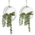 thumbnail image 1 of Plantas suculentas colgantes artificiales CEWOR con cordón, 2 unidades, blancas, 1 of 7