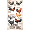 thumbnail image 2 of SUNSOUT INC - Popular Chicken Breeds - 500 pc Jigsaw Puzzle by Artist: Rosemary Millette - Finished Size 15" x 29" - MPN# 66409, 2 of 5