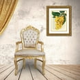 thumbnail image 3 of Dellal, Remy 25x32 Gold Ornate Wood Framed with Double Matting Museum Art Print Titled - Vintage Botany III, 3 of 4