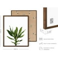thumbnail image 3 of Haus and Hues Plant Wall Art - Set of 4 Plant Pictures Wall Art and Green Wall Art Collection, Botanical Prints, Sage Green Leaves Paintings For Wall, Minimalist Wall Art (8x10, Framed Walnut), 3 of 6
