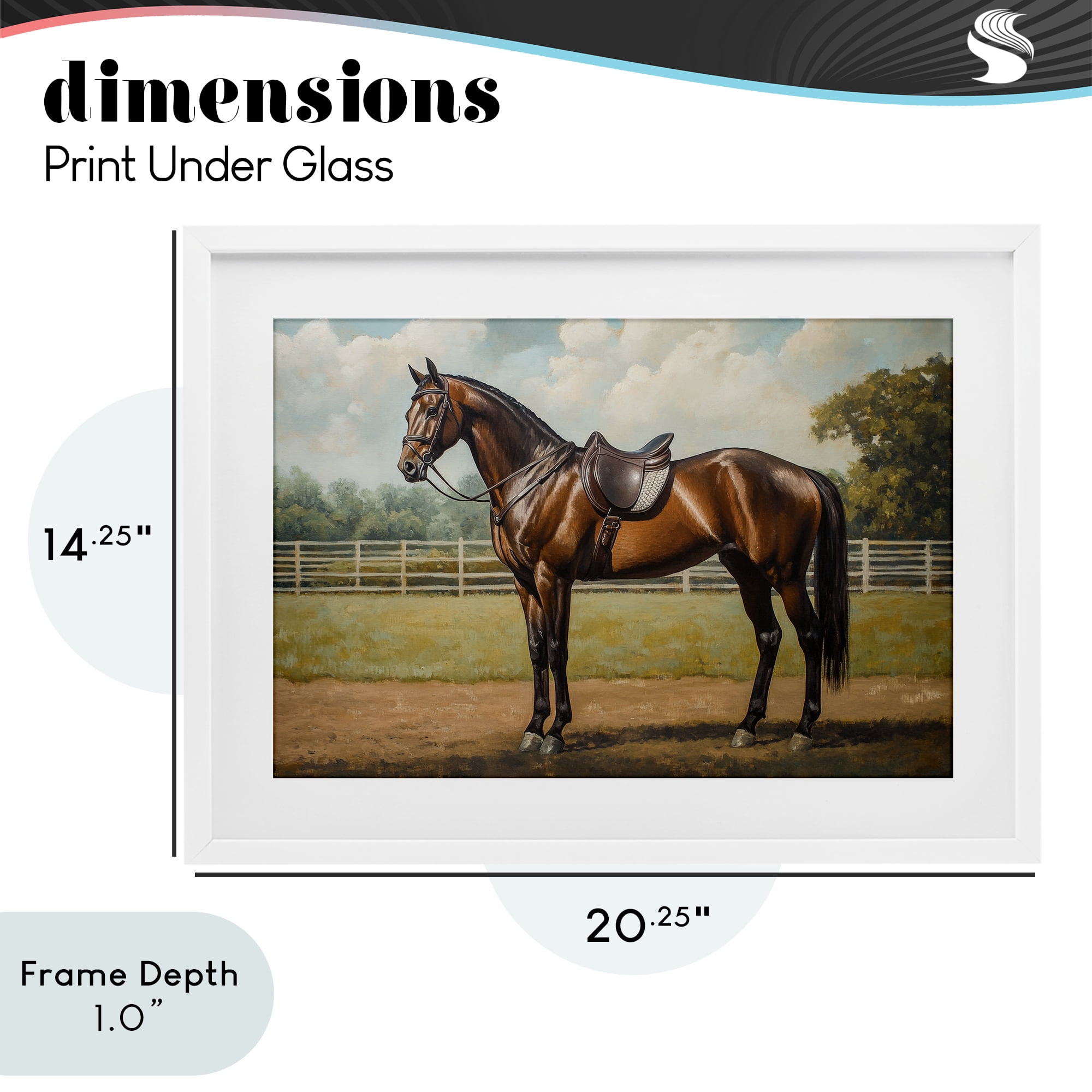 Stupell Industries Saddled & Ready For The Show White Framed Print Under Glass, design by Petal Prints Design
