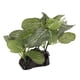 thumbnail image 4 of Planta Artificial para acuario, simulación de plástico, pecera realista, decoración de hierba de Tanque De Agua, pie ovalado, 4 of 12