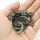 thumbnail image 4 of Set Of 5 Retro Vintage Style Swing Bag Buckle Closure Lock Latch Furniture Wooden Box Jewelry, 4 of 5