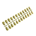 thumbnail image 1 of Juego de 24 piezas de uñas postizas Soidarity Aguacate verde, 1 of 6