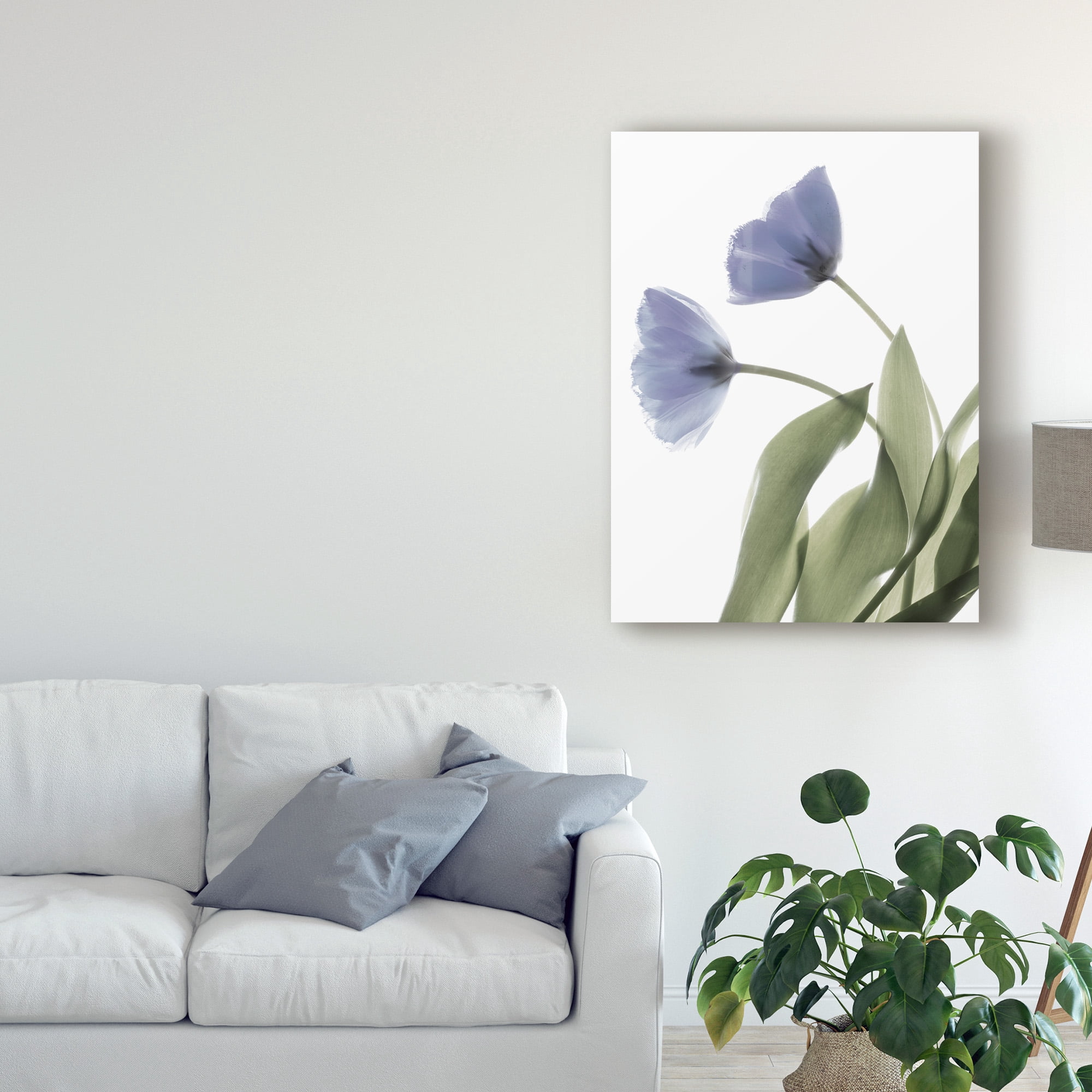 Trademark Fine Art 'Xray Tulip III' Canvas Art by Judy Stalus