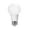 Assorted, variant on Goodlite A19 LED15W 100W Equivalent A19 Dimmable LED Light Bulb (Pack of 10) Warm White 3000K