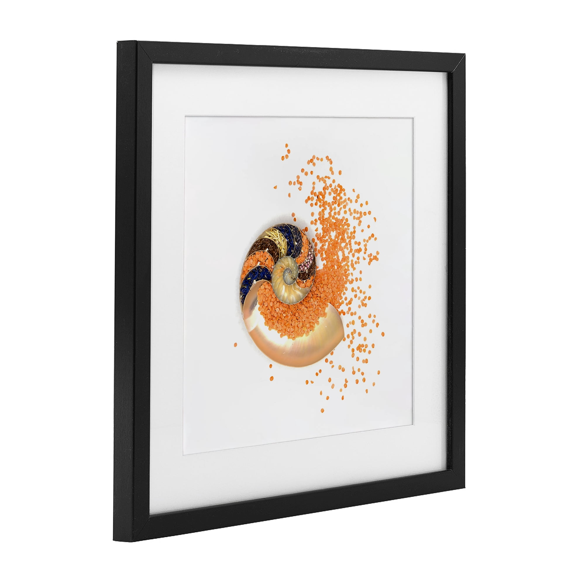 Stupell Industries Orange Nautilus Spiral Black Framed Print Under Glass, design by Beth Adoette