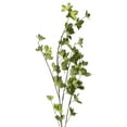 thumbnail image 3 of Vickerman 46" Artificial Green Castor Bean Leaf Spray. Includes 3 sprays per pack., 3 of 6