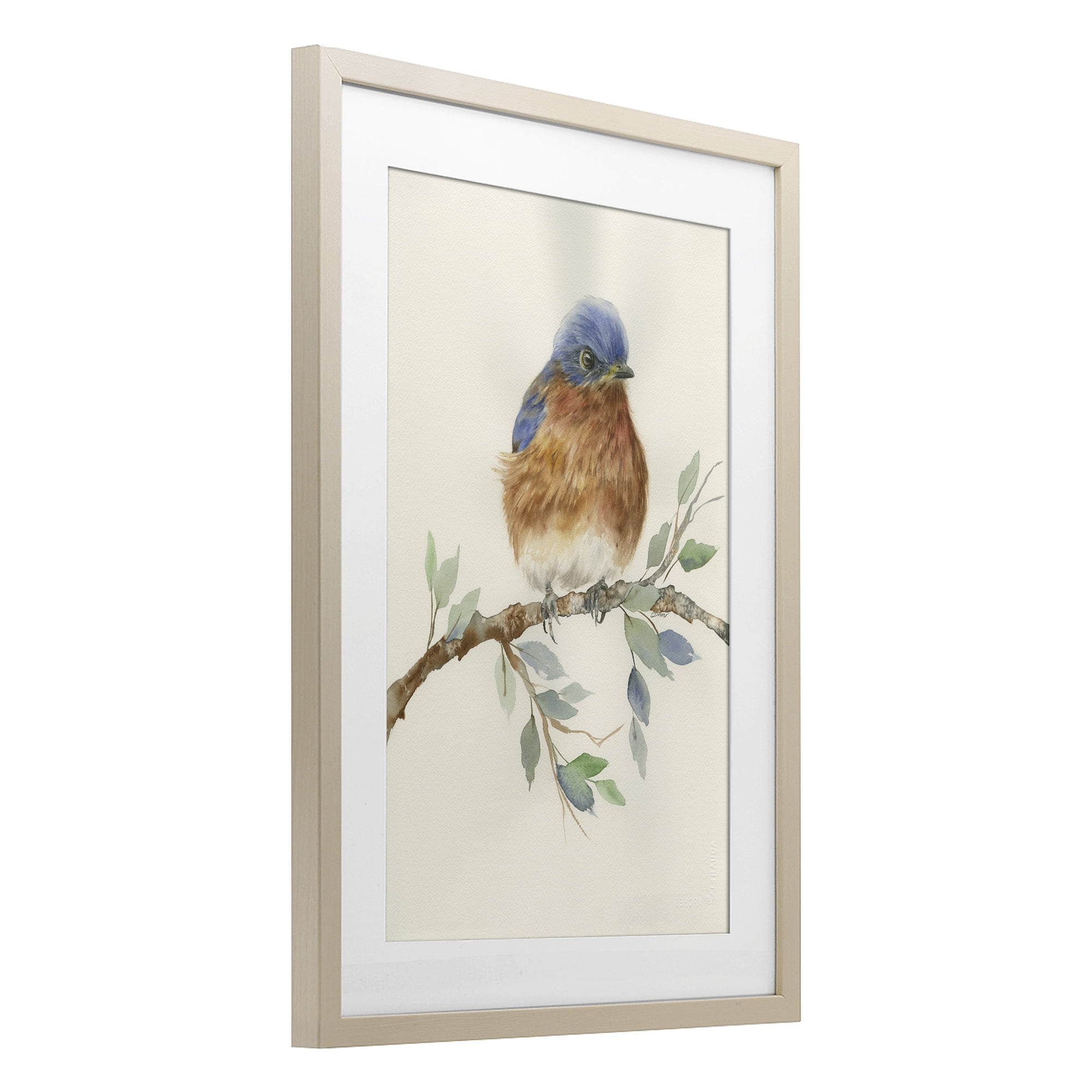 Stupell Industries Songbird Perched on Branch Birch Framed Print Under Glass, design by Cady Driver