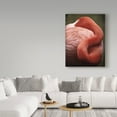 thumbnail image 3 of Trademark Fine Art 'Caribbean Flamingo I' Canvas Art by Debra Van Swearingen, 3 of 3