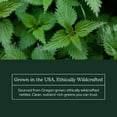 thumbnail image 5 of Eclectic Herb - Nettle Leaf Powder Supplement | Supports Sinuses + Immune Response | Urtica Dioica Natural Herbal Supplement | Vegan, Whole Herb, Raw, Non-GMO (2.1 oz | 60 g), 5 of 9