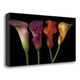 thumbnail image 2 of Tangletown Fine Art Jewel Calla Lilies By Assaf Frank,  Gallery Wrap Canvas 39 x 20, 2 of 2
