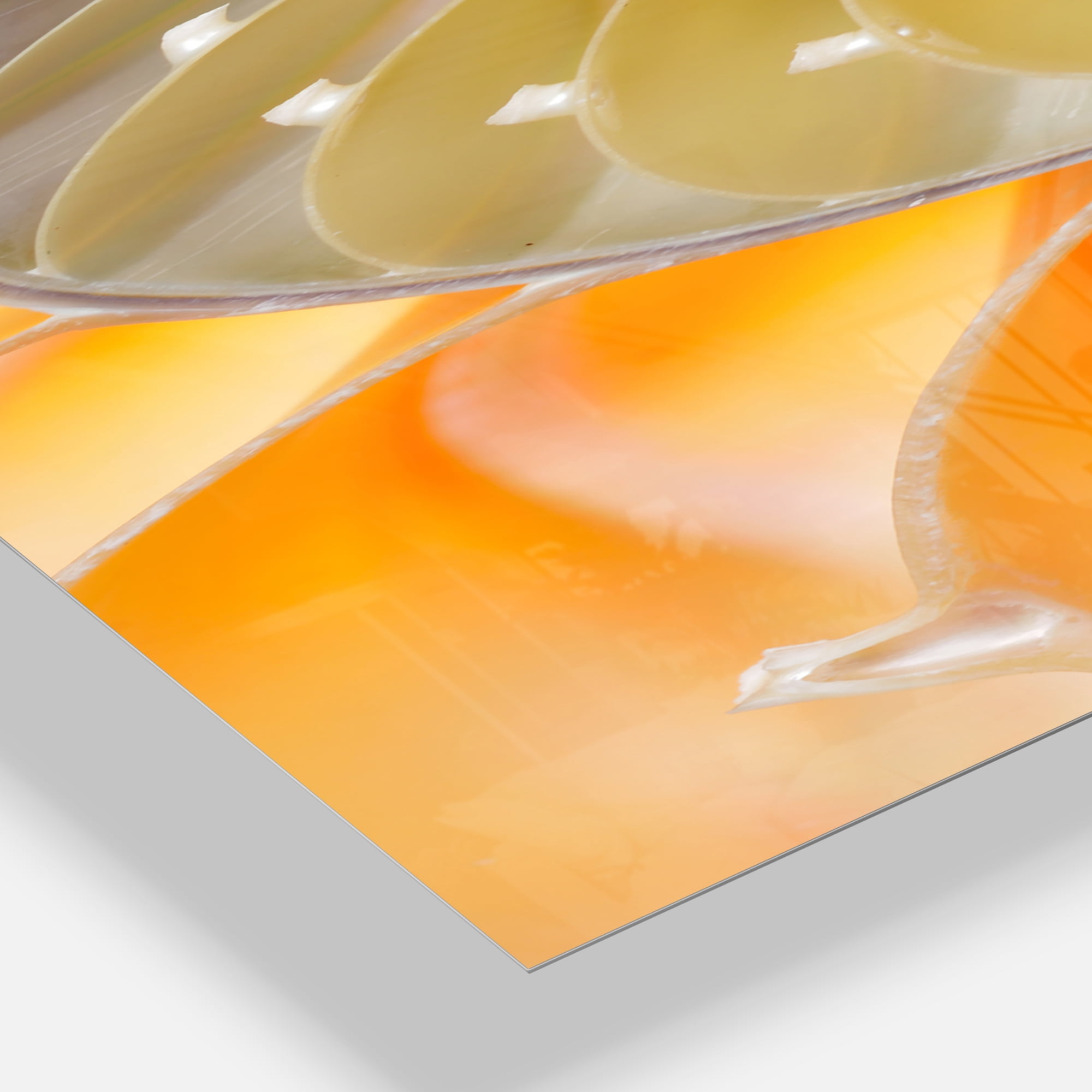 Designart 'Isolated Nautilus Shell' Modern wall clock