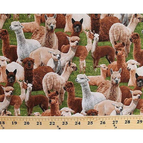 Cotton Llamas Alpacas Farm Animals South America Green Cotton Fabric Print by Yard (445-green)