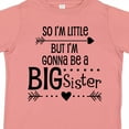 thumbnail image 4 of Inktastic So I'm Little, but I'm Gonna Be a Big Sister Girls Toddler T-Shirt, 4 of 5