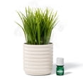 thumbnail image 2 of Lifelines  Plant Diffuser White, 2 of 5