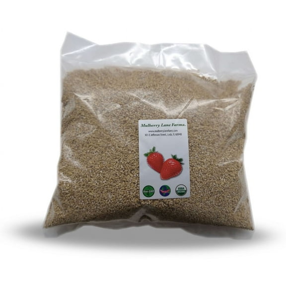 Steel Cut Oats 10 lbs (Ten Pounds) USDA Certified Organic, Non-GMO, Bulk by Mulberry Lane Farms